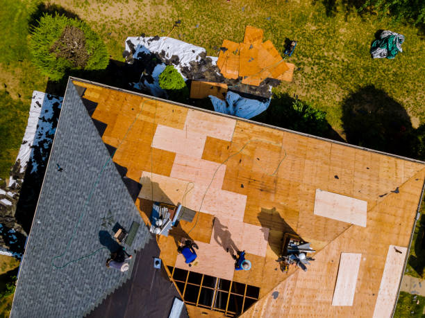 Best Commercial Roofing Services  in Eleele, HI