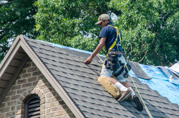 Best Roof Waterproofing Services  in Eleele, HI